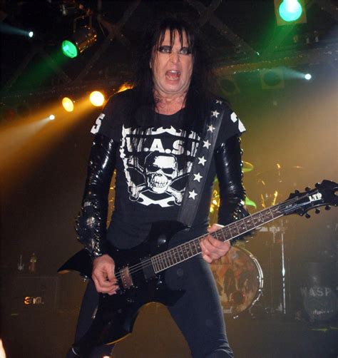 WASP Wallpapers - Wallpaper Cave