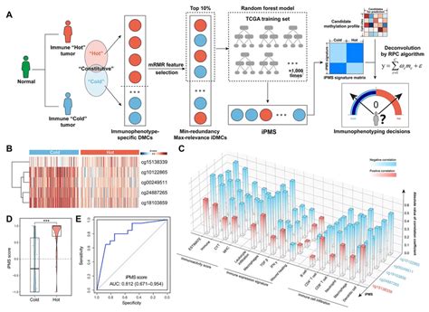 Ipms Predicted Tumor Immunophenotypes In Luad A Machine Learning