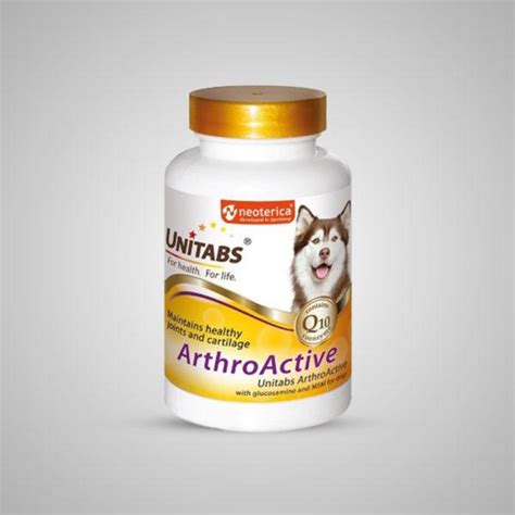 Unitabs ArthroActive - 100 tabs - ivax