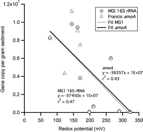 The Abundance Of MG1 16S RRNA And Archaeal AmoA Genes Are Weakly