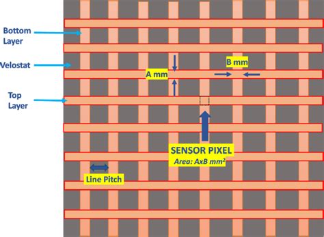 schematic illustration   top view   sensor highlighting