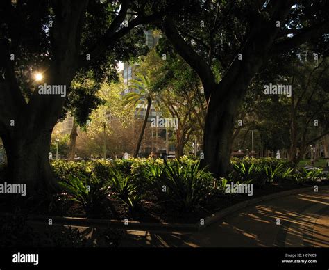 Hyde Park Sydney Stock Photo Alamy
