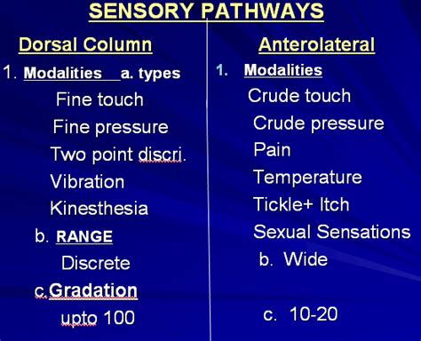 SENSORY SYSTEM HowMed