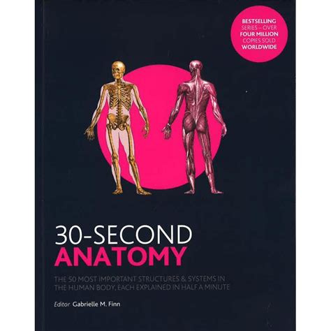BBW 30 Second Anatomy ISBN 9781782405139 Shopee Malaysia
