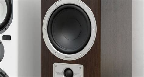 Напольная акустика Magnat Tempus 55 mocca - купить в Санкт-Петербурге в ...