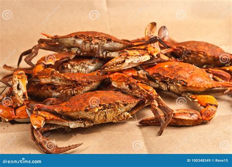 Pile Of Steamed And Seasoned Chesapeake Blue Claw Crabs Stock Image Image Of Blue Tasty