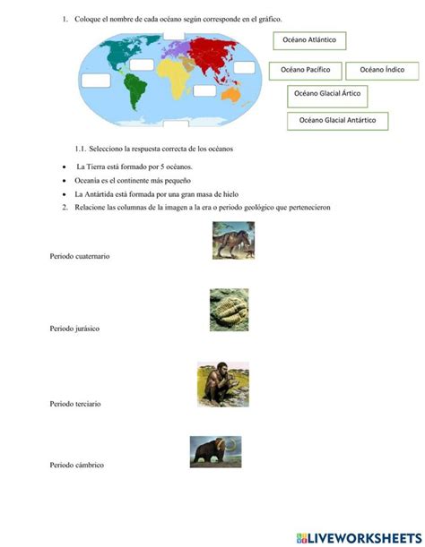 Cuestionario Online Pdf Worksheet Pie Chart Chart Worksheets