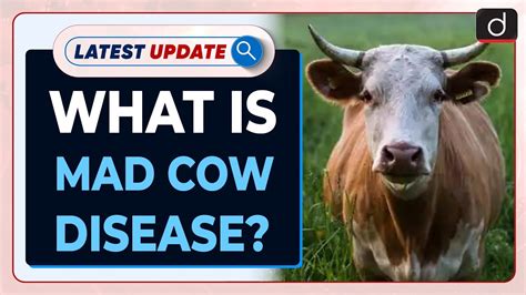 What Is Mad Cow Disease Latest Update Drishti Ias English Youtube