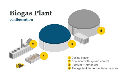 biogas plants  diagram microbiology