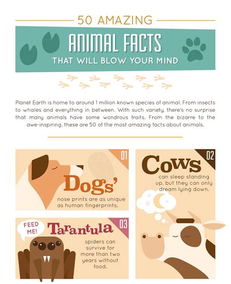 Top Facts About Animals Image To U