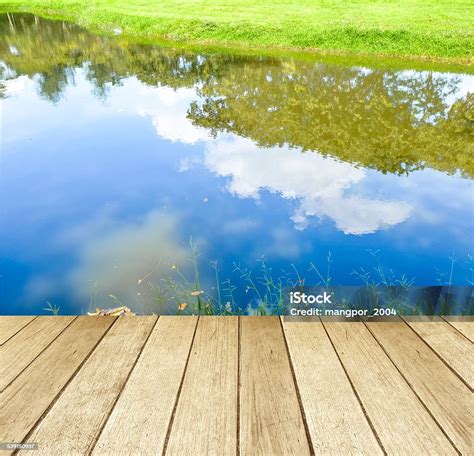 Kayu Perspektif Kosong Di Atas Pohon Dan Refleksi Langit Biru Foto Stok