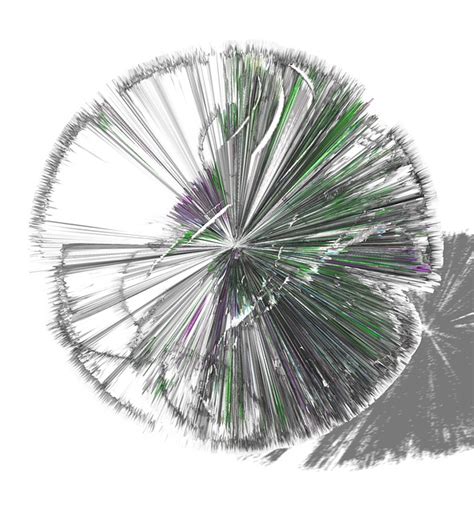 sparse flower cool  photo  pixabay pixabay