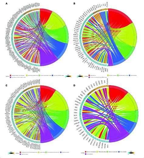 Go And Kegg Analysis Of Robust Degs A Chord Plot Shows The