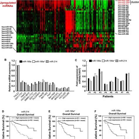 Downregulation Of MiR 214 199a 199a In HCC Is Correlated With Poor