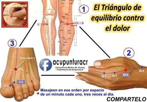 Acupuntura Acupuntura Puntos Acupuntura Masoterapia