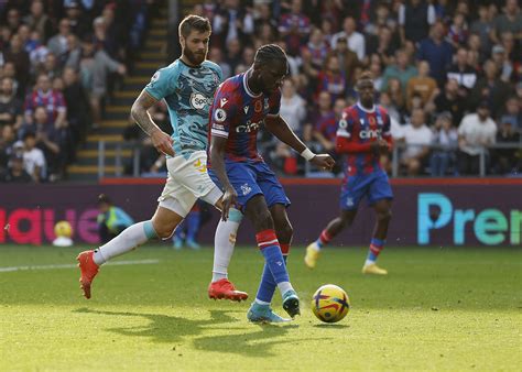 Who Won Westminster Dog Show 2025: Unveiling the Top Canine Champion