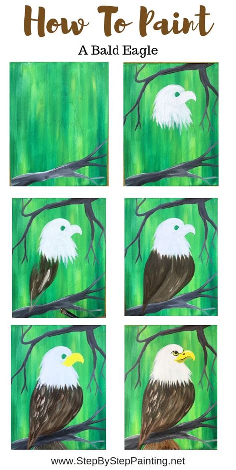 How To Paint A Bald Eagle | Eagle painting, Canvas painting diy, Art ...