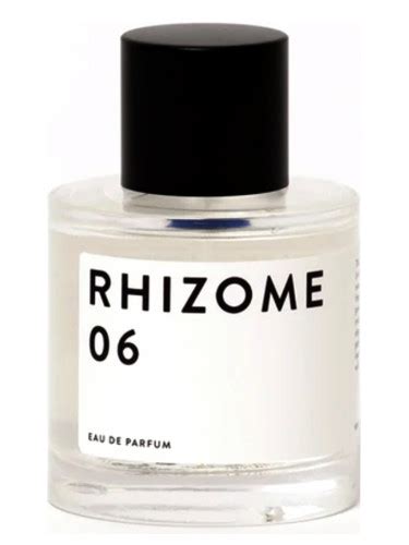 Rhizome 06 Rhizome Parfum - ein es Parfum für Frauen und Männer 2020