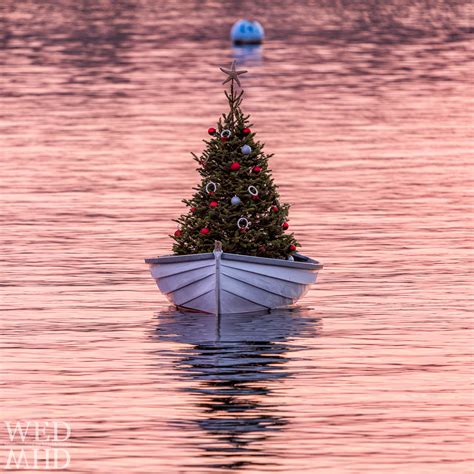 Christmas in Harbor - Marblehead, MA