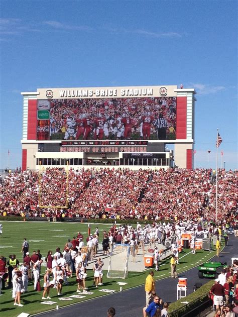 USC Gamecock Football 2013 in 2024 | Usc gamecocks, Usc, Gamecocks football