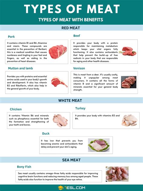 types  meat  list  meat  seafood  pictures esl