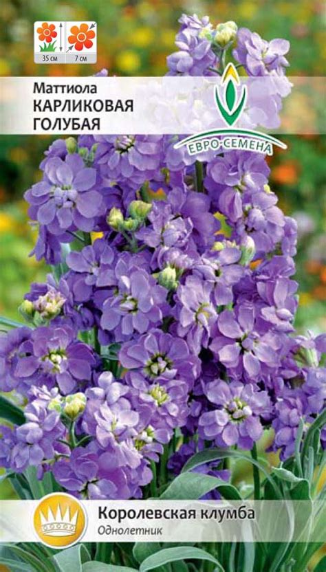 Маттиола Карликовая Голубая 0,1 г