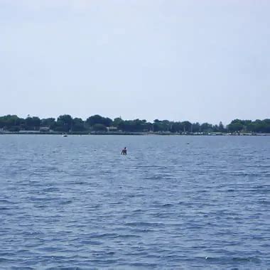 Mamma Come Godo Homemade Porn XHamster