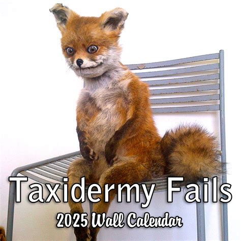 funny animal taxidermy 7