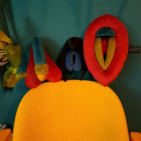 Puppets For Sex Education Colorful Vulva With Detachable Clitoris Penis Pillow Sex Ed Gadget