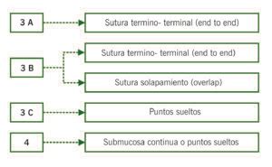 Lesiones Perineales Desgarro del Esfínter Anal Manuales Clínicos