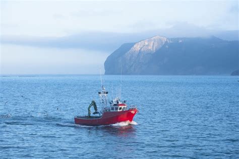 Euskadi destina fondos al impulso de la economía azul sostenible