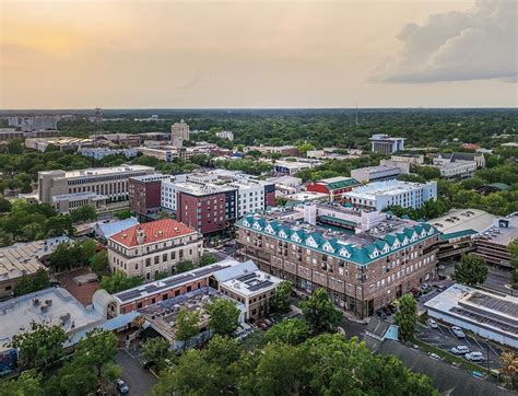Unlock The Secrets Of Alachua County Fl Inmate Search A Comprehensive Guide