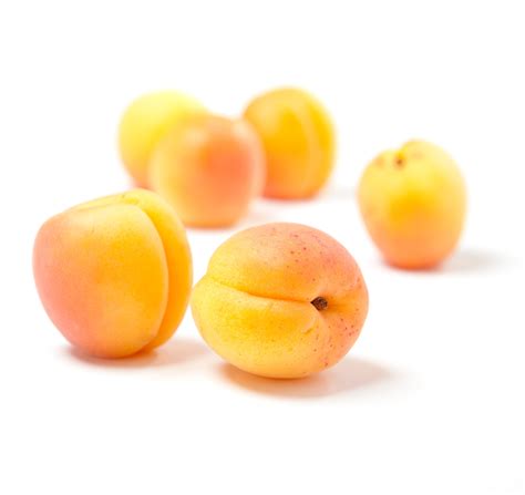 Organic apricot kernel oil for beautiful hands & nails I lavera ...