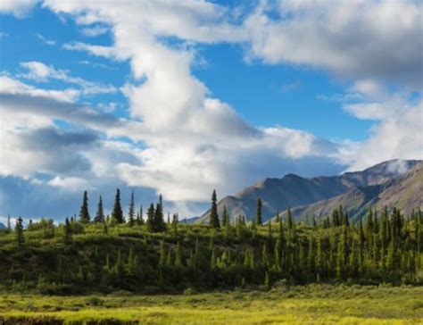 Climate change has transformed much of Alaska over the past three decades