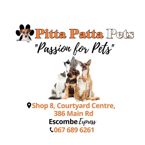Pitta Patta Pets Express - Like humans, dogs have two sets of teeth in