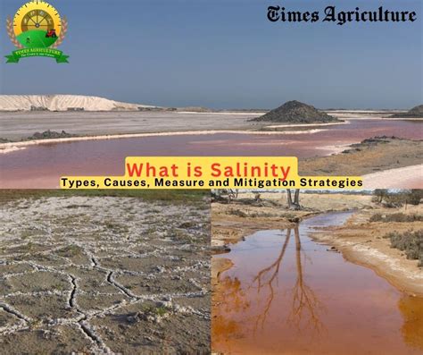 What Is Salinity Types Causes Measure And Mitigation Strategies