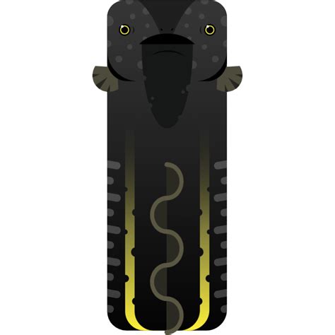 [ELECTRIC EEL] Gold-Line Knifefish (70c) : r/deeeepioskins