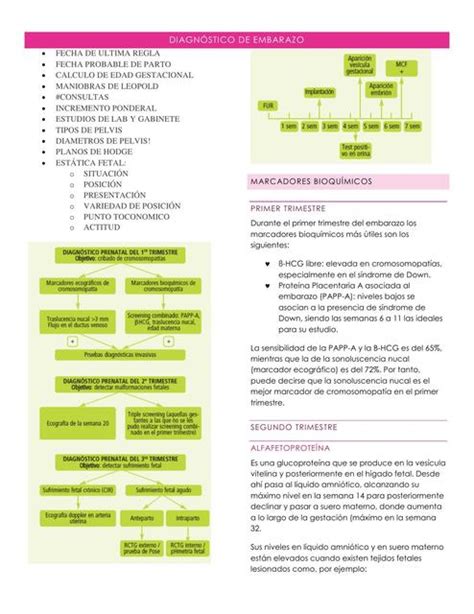 Diagnóstico De Embarazo Esli García Udocz