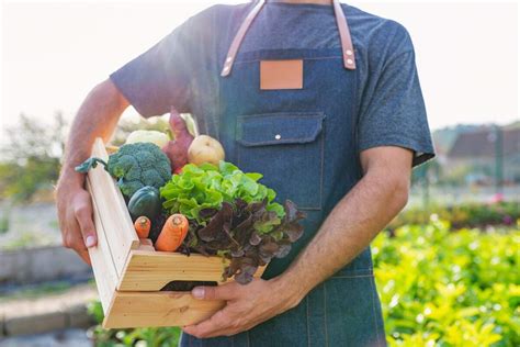 Alimentos orgánicos qué son y beneficios de los productos ecológicos