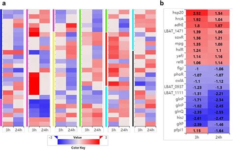 Heatmap Of Log Fold Change Value Of Differently Expression Genes In