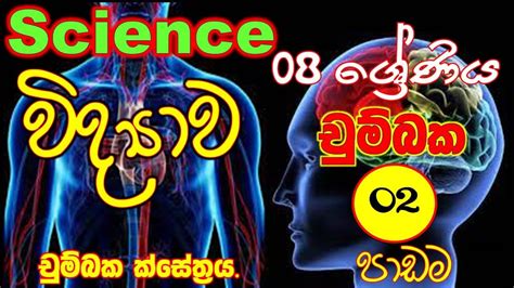 Science Grade 08 Unit 6 Part 1 Magnetic Science Sinhala Medium Grade 8 Science Lesson Grade 8