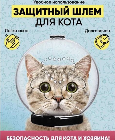 Шлем для стрижки когтей – купить в Москве, цена 700 руб., дата ...