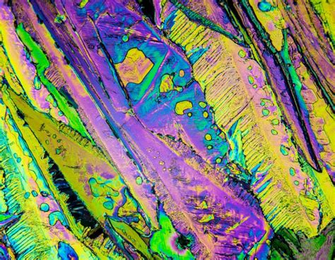Polarized Light Microscopy Labomed®