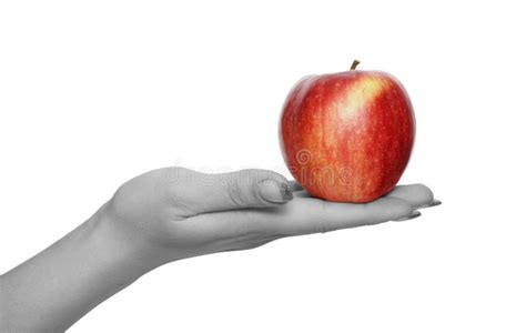 Red apple in hand stock image. Image of single, hand, people - 4264693