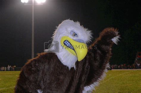 Staunton River High School Golden Eagle Mascot by paulglover Vectors ...