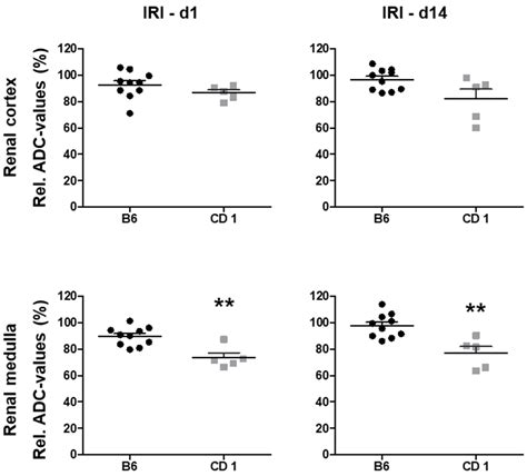 Biomedicines Free Full Text Diffusion Weighted Imaging And T2