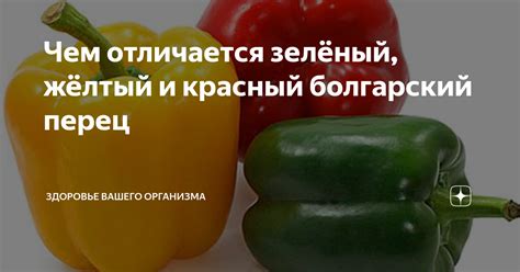 Чем отличается зелёный, жёлтый и красный болгарский перец | Здоровье ...
