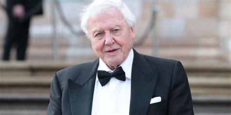 Watch Trailer For David Attenborough S Show Seven Worlds One Planet