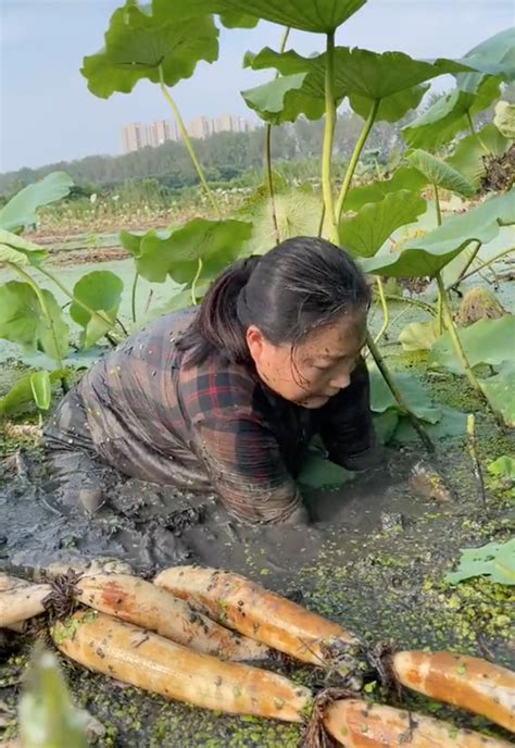 Hot Tiktoker B T T O Content Mua C Sen V R I D N D Ng C Nh I O C D N M Ng Ng I B Nh