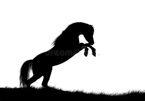 Background Black Cob Horse Stock Illustrations 6 Background Black Cob